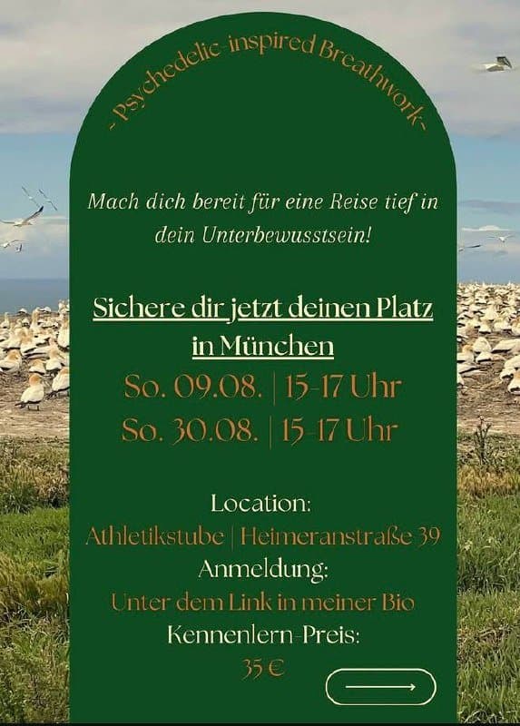 Holosomatic Breathwork® – eine Reise nach innen
